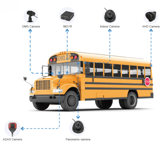 Bus / Transporte escolar