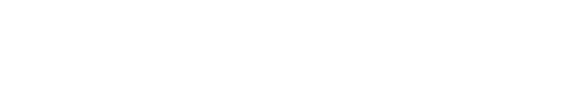 TOPFLYtech